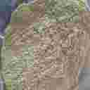 تولید پودر گیاهی دام و طیور سبزینه در مشهد