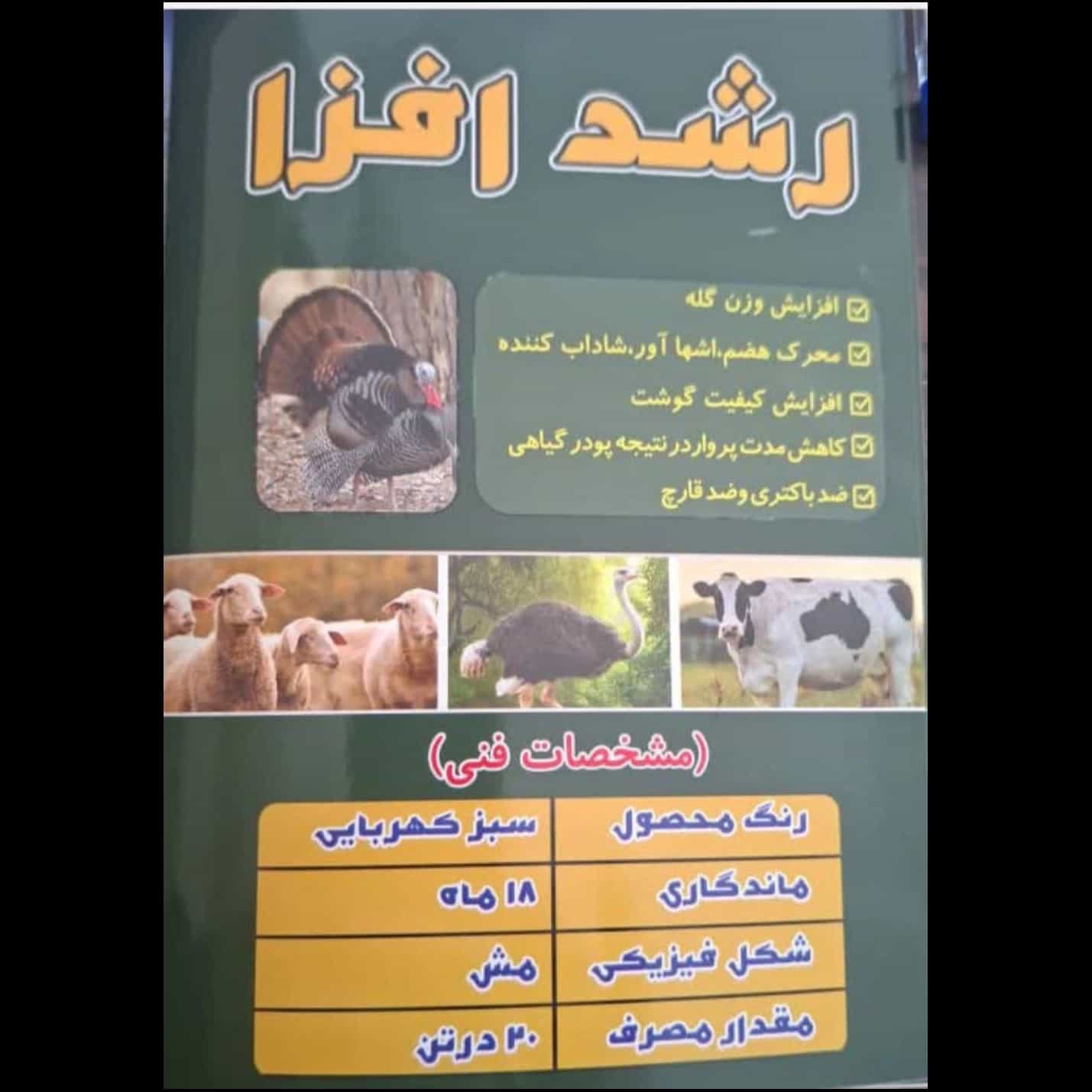 1770718281166.webp