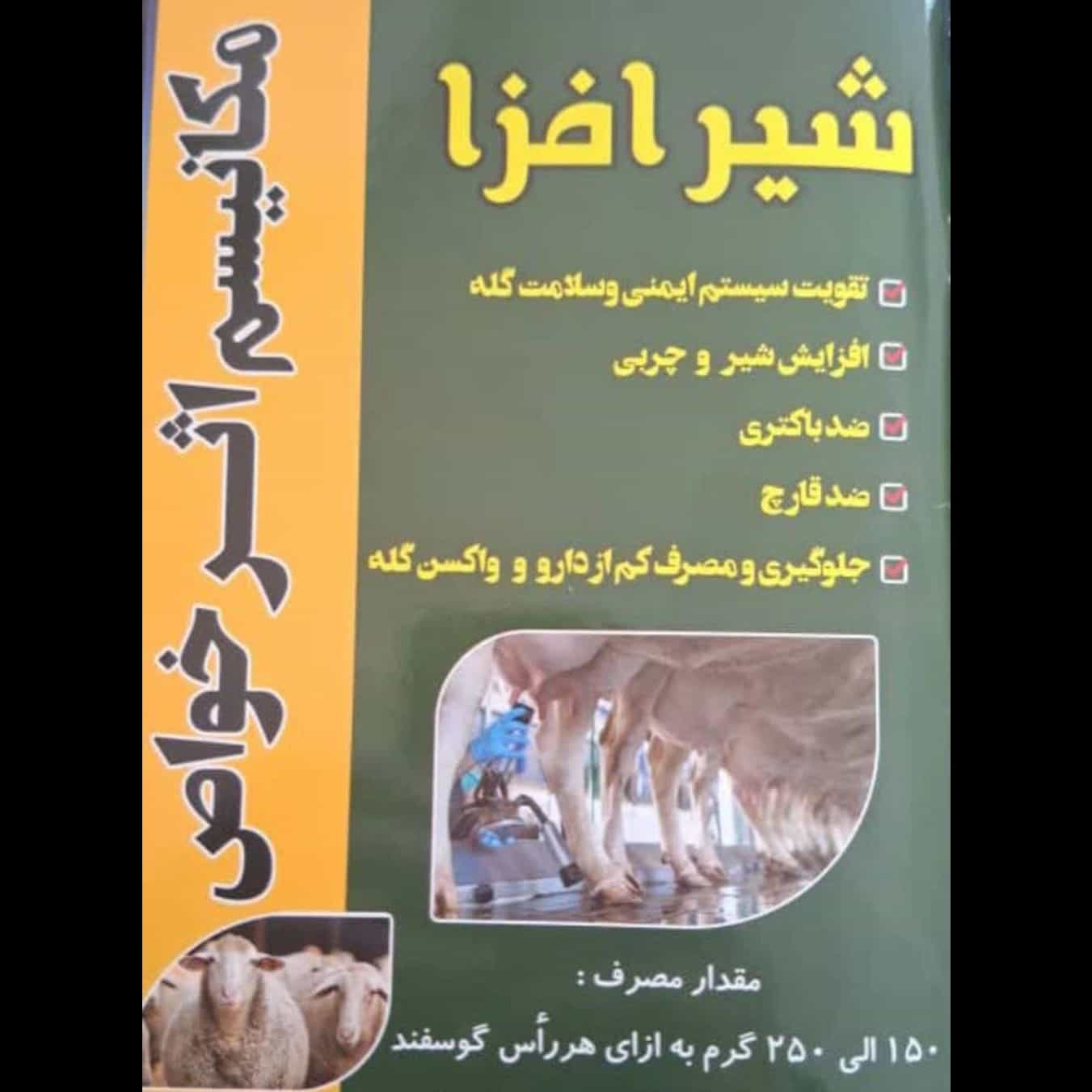 1770718393232.webp