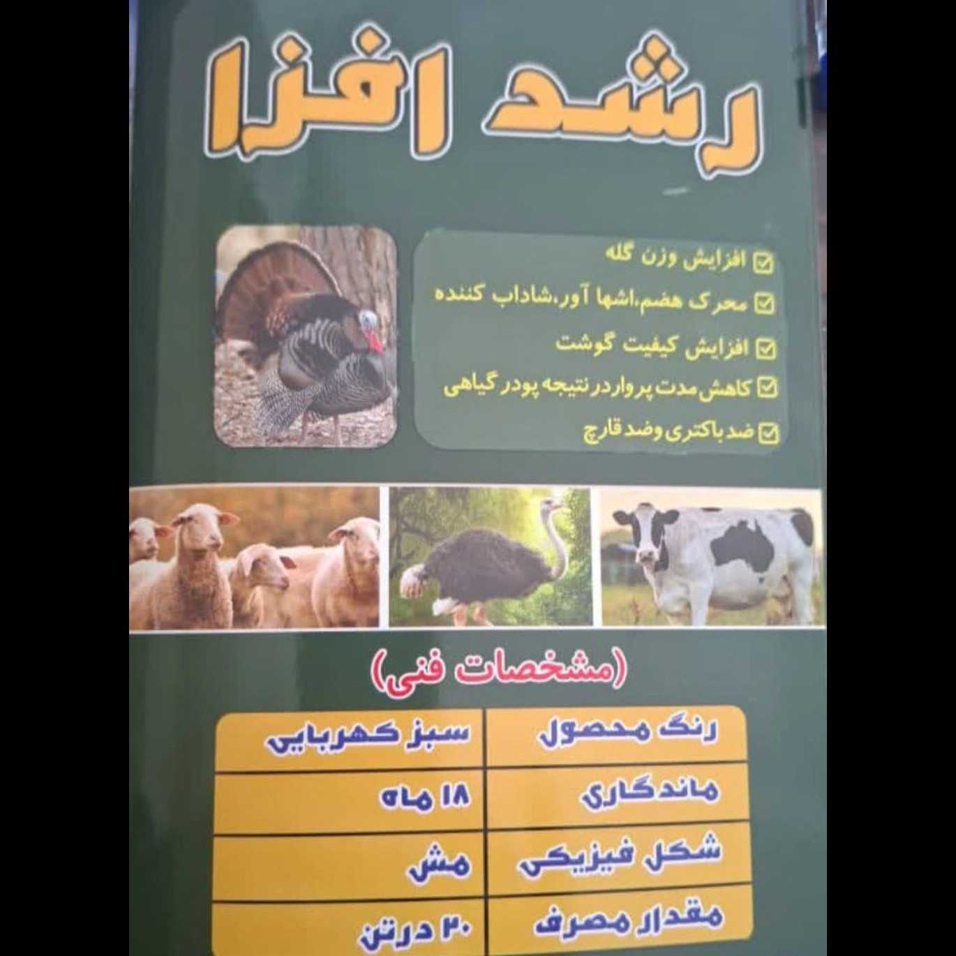 1770718303989.webp