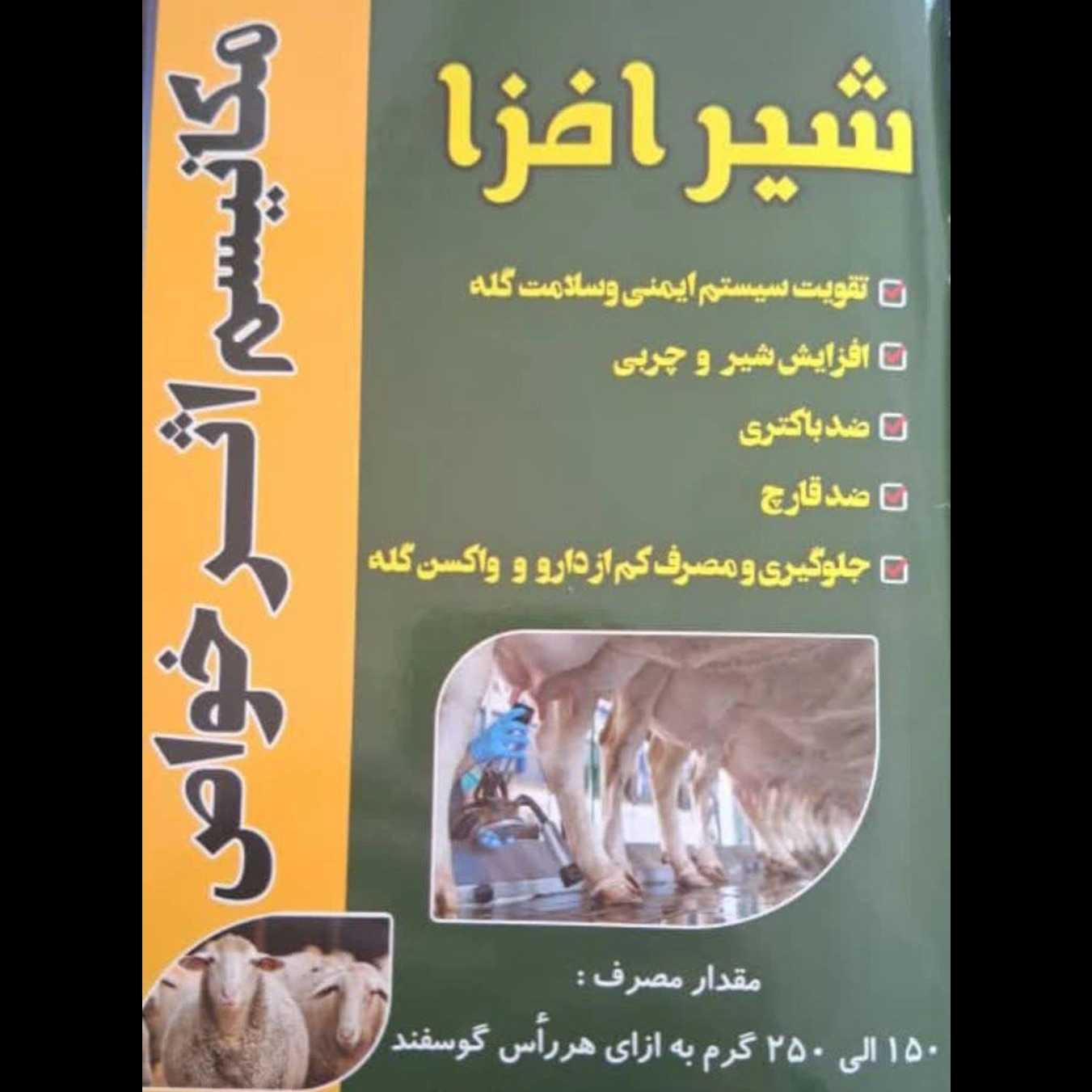 1770718393232.webp